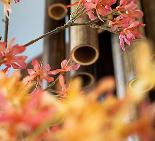 Events im Nightingale