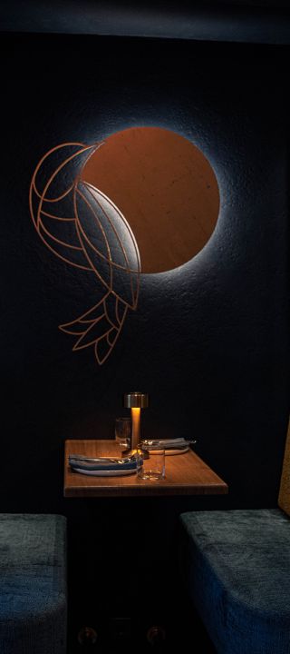 Nachtschwärmer (Kopie)